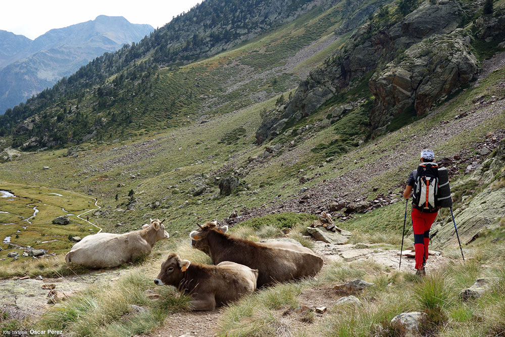 Subir un tresmil en verano en Pirineos - Pels Saúco