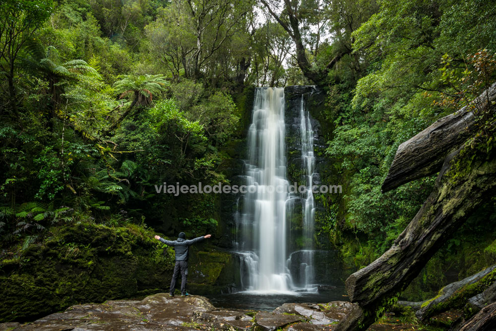 Trekkings de un día en Nueva Zelanda