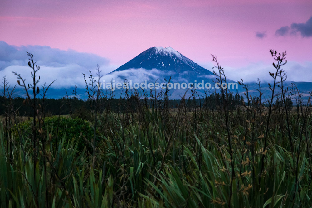 Trekkings de un día en Nueva Zelanda